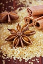 Anise star and cinnamon sticks on brown cane sugar Royalty Free Stock Photo