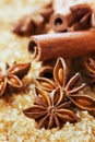 Anise star and cinnamon sticks on brown cane sugar Royalty Free Stock Photo