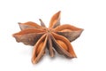 Anise Star Close-up