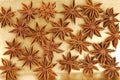 Anise star closeup Royalty Free Stock Photo