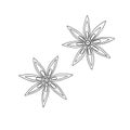 Anise star flower form spice simple outline hand drawn doodle vector