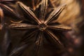 Anise star macro. Food background and textures. Aromatic ingredient