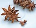 Anise star and seeds