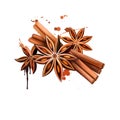Anise star and vanilla sticks illustration isolated on white background. Hand drawn sketch. Series of ingredients for cooking.