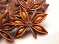 Anise stars Royalty Free Stock Photo