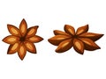 anise stars. Realistic style. Vector illustration.