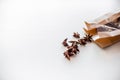 Anise tree seeds on white background