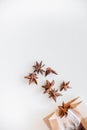 Anise tree seeds on white background