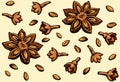 Anise. Vector drawing Royalty Free Stock Photo