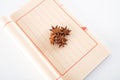 Aniseed star anise on the notebook Royalty Free Stock Photo
