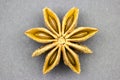 Aniseed star with eight petals Royalty Free Stock Photo