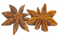 Aniseeds detail