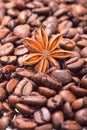 The anisetree lying in arabica coffee grains. Royalty Free Stock Photo