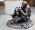 Anissa and Cassie, Wild Chimp Grooming sculpture