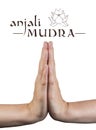 Anjali mudra on white Royalty Free Stock Photo