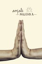 Anjali mudra. Royalty Free Stock Photo