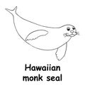 Kids line illustration coloring hawaiian monk seal. animal outline