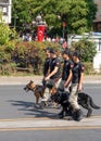 Ankara/Turkey- August 30 2019: Parade of the armed forces of Turkey in honor of the Victory Day. K9 policemen with dogs are