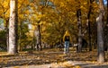 Ankara/Turkey-November 24 2018: Kurtulus Parki in Autumn and back view of a boy who has yellow and black jacket