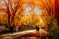 Ankara/Turkey-November 24 2018: Kurtulus Parki in Autumn and people enjoy the season