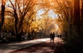 Ankara/Turkey-November 24 2018: Kurtulus Parki in Autumn and people enjoy the season