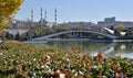 Ankara, Turkey, October 2022 - Fall as seen from Youth park with Pyracantha Coccinea in the foreground and mosque in