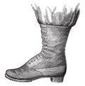 Ankle boot out first competition 1872 and not tried, vintage engraving