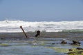 ankor great ocean walk on wreck beach, victoria in australia Royalty Free Stock Photo