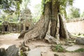 Ankor Wat, Cambodia