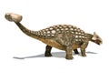 Ankylosaurus dinosaur isolated on white background