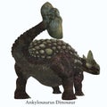 Ankylosaurus Dinosaur Tail with Font Royalty Free Stock Photo