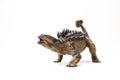 Ankylosaurus Dinosaur on white background Royalty Free Stock Photo