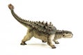 Ankylosaurus   ,dinosaur on white background Royalty Free Stock Photo