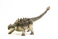 Ankylosaurus   ,dinosaur on white background Royalty Free Stock Photo