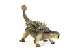 Ankylosaurus   ,dinosaur on white background Royalty Free Stock Photo