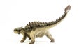 Ankylosaurus ,dinosaur on white background