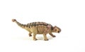 Ankylosaurus , dinosaur on white background Royalty Free Stock Photo