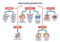 Ankylosing spondylitis as arthritis symptoms or complications outline diagram