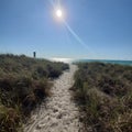 Anna Maria Island Beach pathway Bradenton Florida Royalty Free Stock Photo