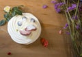 Anna Pavlova cake meringue with fruits and flowers