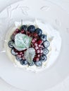 Anna Pavlova dessert with blueberries and red currants Royalty Free Stock Photo