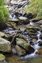 Anna Ruby Falls creek bed Royalty Free Stock Photo