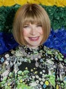 Anna Wintour at the 2019 Tony Awards