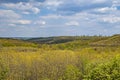 Spring forest screnery near Lengyel Annafurdo in Hungary Royalty Free Stock Photo