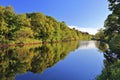 Annan with Reflection of Forest in Evening Light, Annandale War, Dumfries and Galloway, Scotland