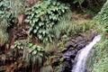 Annandale waterfall on the Caribbean island of Granada