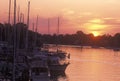 Annapolis Harbor at Sunset, Annapolis, Maryland Royalty Free Stock Photo