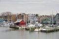 Annapolis Marina Royalty Free Stock Photo