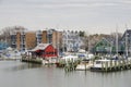 Annapolis Marina