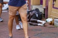 A homeless African American man sleeping on the street Royalty Free Stock Photo